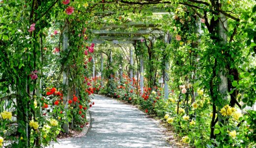 公園や自然の中でリフレッシュしよう。