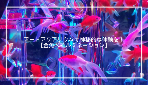 アートアクアリウム日本橋で神秘的な体験を！【金魚×イルミネーション】